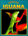 Caring for Your Iguana