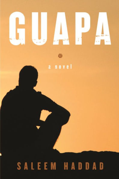 Guapa: A Novel