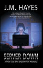 Server Down (Mad Dog and Englishman Series #5)
