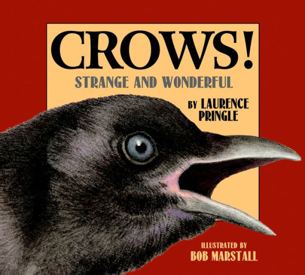 Crows!: Strange and Wonderful