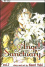 Angel Sanctuary, Vol. 7