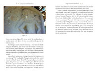 Alternative view 4 of Astronaut Gods of the Maya: Extraterrestrial Technologies in the Temples and Sculptures
