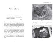 Alternative view 2 of Animal Wayshowers: The Lightworkers Ushering In 5D Consciousness