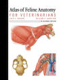 Atlas of Feline Anatomy For Veterinarians / Edition 2
