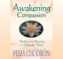 Awakening Compassion: Meditation Practice for Difficult Times