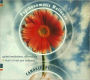 Psychosomatic Wellness: Guided Meditations, Affirmations and Music to Heal Your Bodymind