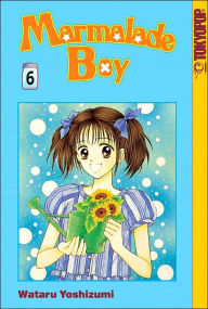 Marmalade Boy, Volume 6
