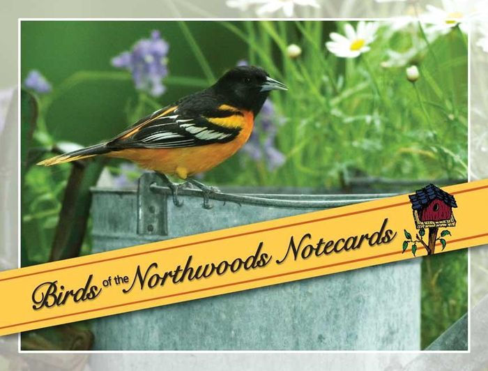 Birds of the Northwoods Notecards by Stan Tekiela, Other Format