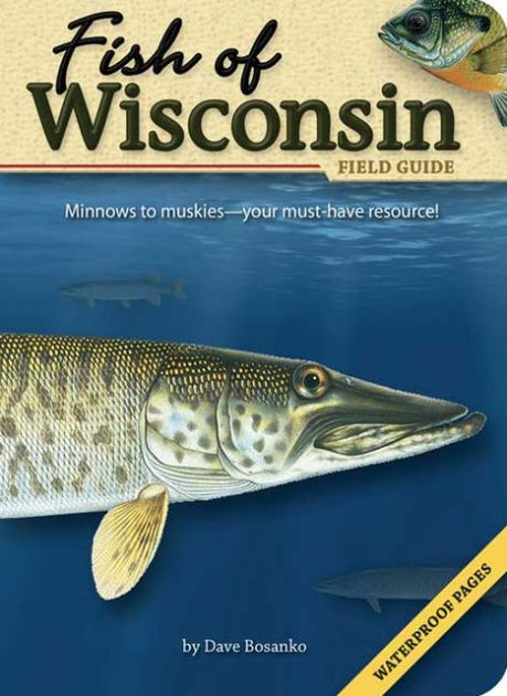 Fish of Wisconsin Field Guide [Book]