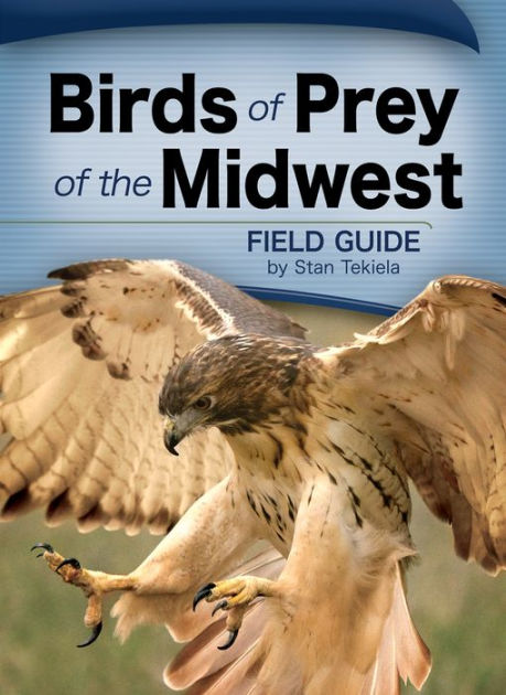 Raptors! A Guide to Minnesota's Birds of Prey - All Seasons Wild Bird Store