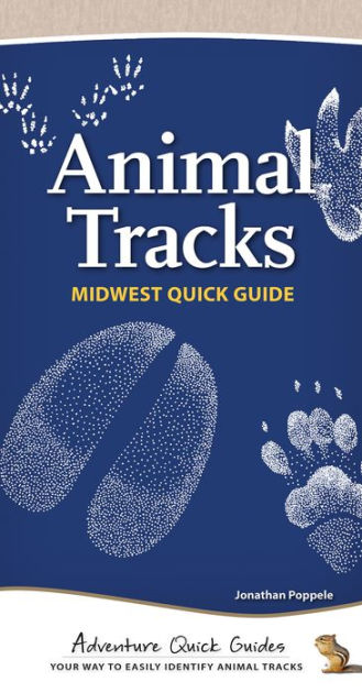 Identifying Animal Tracks - Missouri Great Outdoors