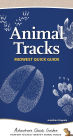 Animal Tracks of the Midwest: Your Way to Easily Identify Animal Tracks