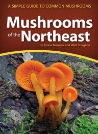 Title: Mushrooms of the Northeast: A Simple Guide to Common Mushrooms, Author: Teresa Marrone