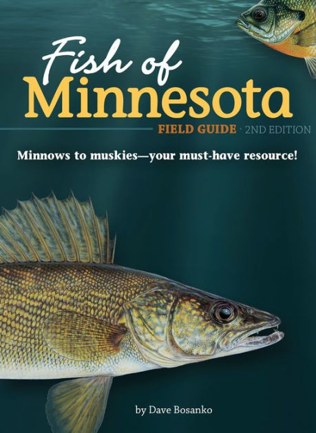 Fish of Minnesota Field Guide [Book]