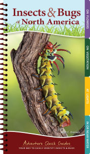 Title: Insects & Bugs of North America: Your Way to Easily Identify Insects & Bugs, Author: Jaret C. Daniels