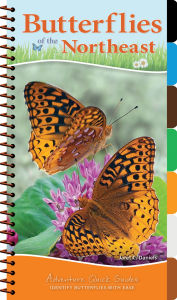 Title: Butterflies of the Northeast: Identify Butterflies with Ease, Author: Jaret C. Daniels
