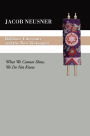 Rabbinic Literature and the New Testament: What We Cannot Show, We Do Not Know