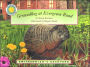Groundhog at Evergreen Road (Smithsonian's Backyard Series)