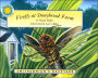 Firefly at Stonybrook Farm (Smithsonian's Backyard Series)