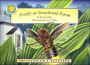 Firefly at Stonybrook Farm (Smithsonian's Backyard Series)