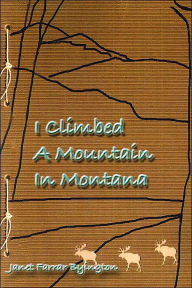 I Climbed A Mountain In Montana