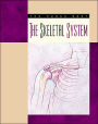 The Skeletal System