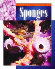 Sponges