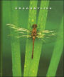 Dragonflies