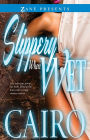Slippery When Wet: A Novel