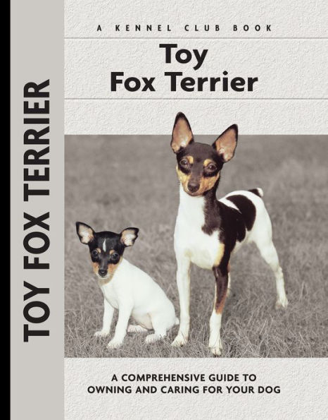 Toy Fox Terrier