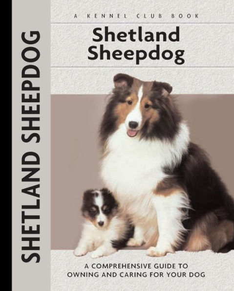 Shetland Sheepdog: A Comprehensive Guide to Owning and Caring for Your Dog