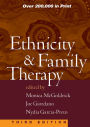 Ethnicity and Family Therapy / Edition 3