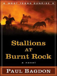 Stallions at Burnt Rock