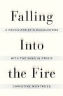 Falling Into the Fire: A Psychiatrist's Encounters with the Mind in Crisis