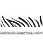 Zebra Print