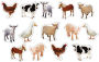 Farm Animals: Photographic