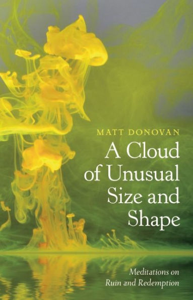 A Cloud of Unusual Size and Shape: Meditations on Ruin and Redemption