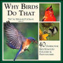 Why Birds Do That