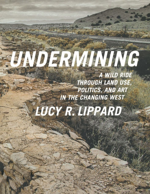 Changing Essays In Art Criticism Lippard