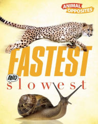 Fastest and Slowest