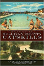 Remembering the Sullivan County Catskills