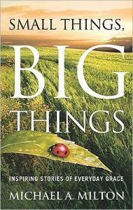 Small Things, Big Things: Inspiring Stories of Everyday Grace