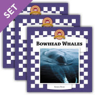 Title: Whales Set 2, Author: Kristin Petrie