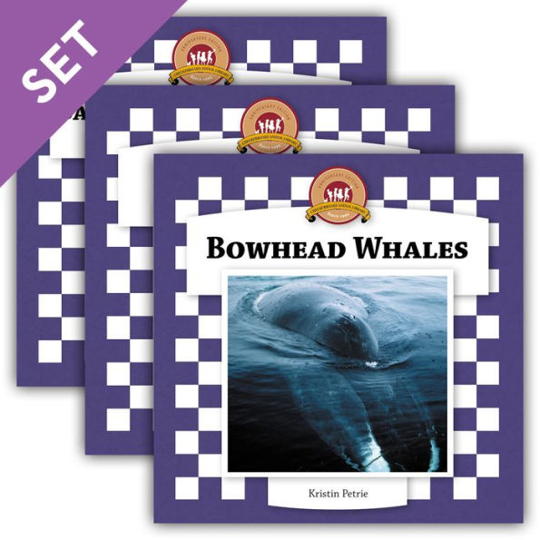 Whales Set 2