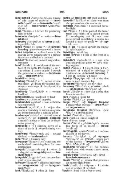 Webster's American English Dictionary