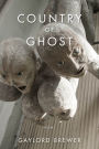 Country of Ghost