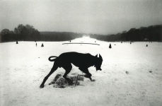 Alternative view 3 of Josef Koudelka: Exiles