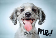 Title: Rescue Me: Dog Adoption Portraits and Stories from New York City, Author: Richard Phibbs