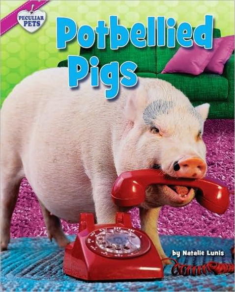 Potbellied Pigs