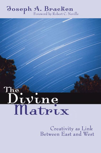 The Divine Matrix By Joseph A. Sj Bracken, Paperback 